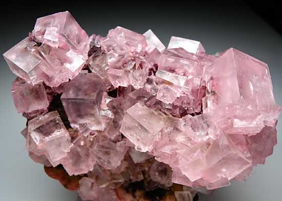 Halite on Nahcolite from Searles Lake, San Bernardino Co., California [db_pics/pics/na800b.jpg]