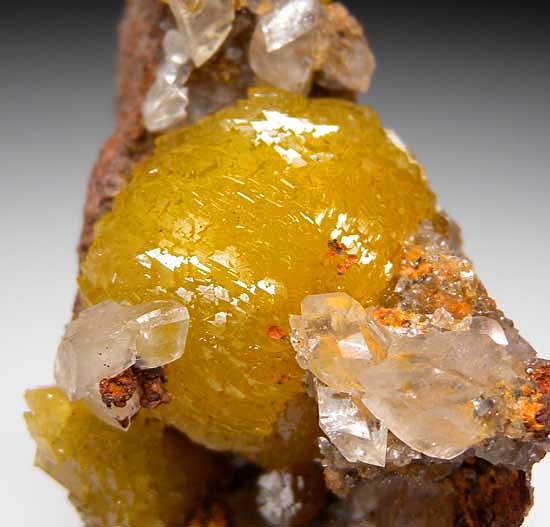 Adamite with Calcite from Mina Oujela, Mapimi, Durango, Mexico [db_pics/pics/na810b.jpg]