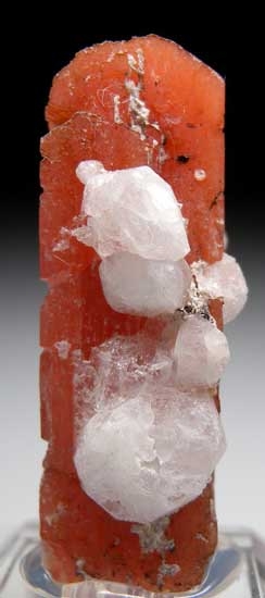 Serandite with Analcime from Mont St.-Hilaire, Quebec, Canada [db_pics/pics/na954a.jpg]