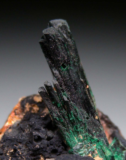 Atacamite from Mount Gunson Copper mines, Pernatty Lagoon, South Australia, Australia [db_pics/pics/p101b.jpg]