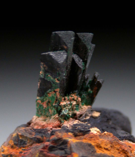 Atacamite from Mount Gunson Copper mines, Pernatty Lagoon, South Australia, Australia [db_pics/pics/p101d.jpg]