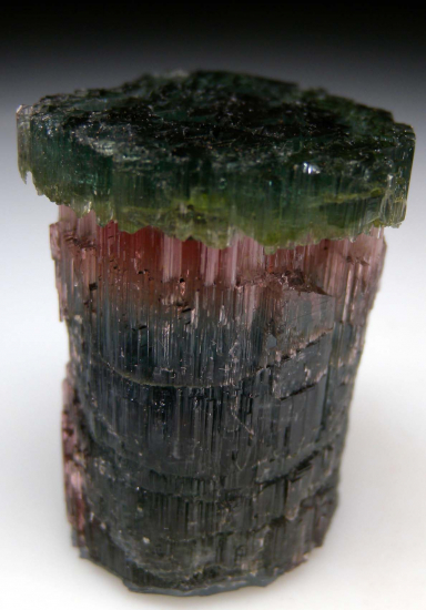 Tourmaline from Pederniera Mine, Minas Gerais, Brazil [db_pics/pics/p172a.jpg]