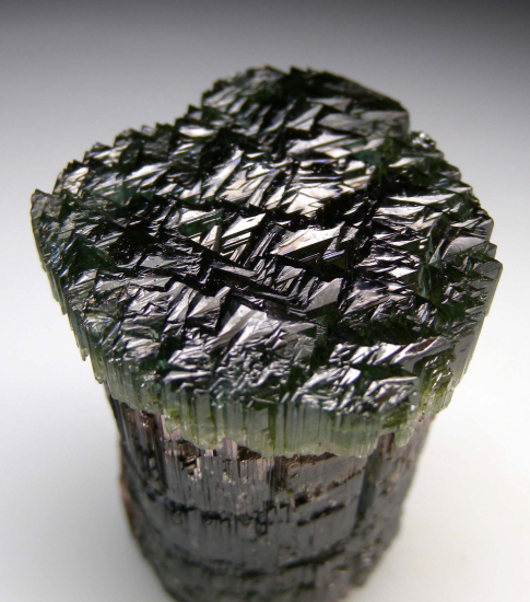 Tourmaline from Pederniera Mine, Minas Gerais, Brazil [db_pics/pics/p172b.jpg]