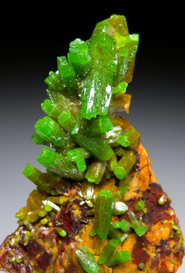 Pyromorphite from Les Farges Mine, Correze, France [db_pics/pics/p181d.jpg]