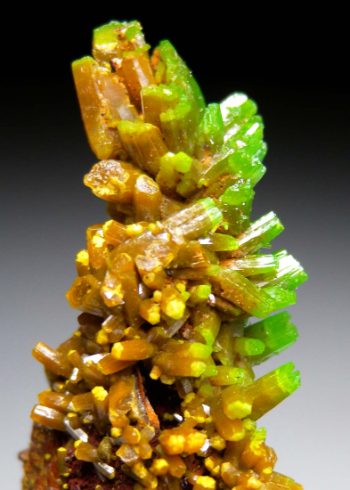 Pyromorphite from Les Farges Mine, Correze, France [db_pics/pics/p181e.jpg]