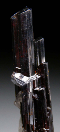 Rutile from Diamantina, Minas Gerais, Brazil [db_pics/pics/p183b.jpg]