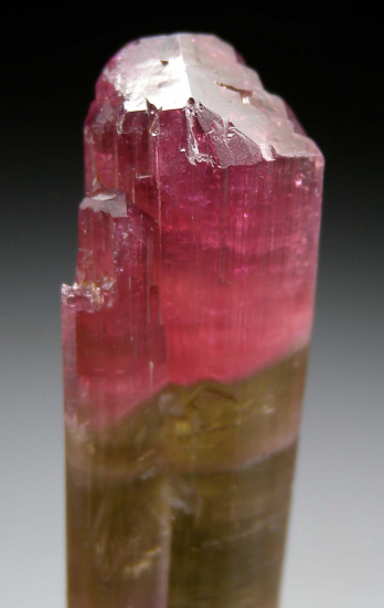 Tourmaline from Himalaya Mine, Mesa Grande, San Diego Co., California, USA [db_pics/pics/p184e.jpg]