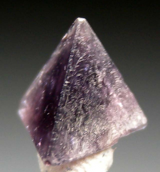 Chambersite from Venice Salt Dome, Louisiana, USA [db_pics/pics/p189c.jpg]