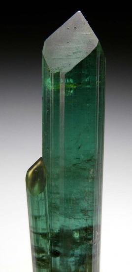 Tourmaline from Rocket Pocket, Pederniera Mine, Sao Jose da Safira, Minas Gerais, Brazil [db_pics/pics/p247e.jpg]