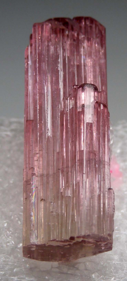 Tourmaline from Himalaya Mine, Mesa Grande, San Diego Co., California, USA [db_pics/pics/p258b.jpg]