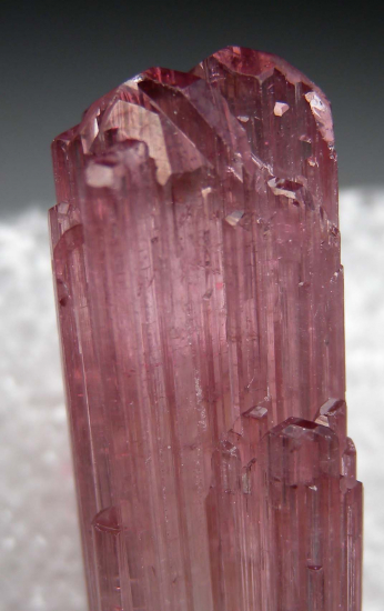 Tourmaline from Himalaya Mine, Mesa Grande, San Diego Co., California, USA [db_pics/pics/p258c.jpg]