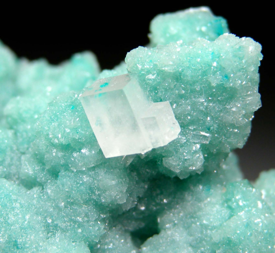 Dioptase, Calcite from Tsumeb, Namibia [db_pics/pics/p276e.jpg]