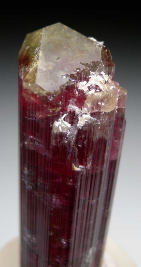 Tourmaline from Aricanga Mine, Sao Jose da Safira, Minas Gerais, Brazil [db_pics/pics/p281b.jpg]