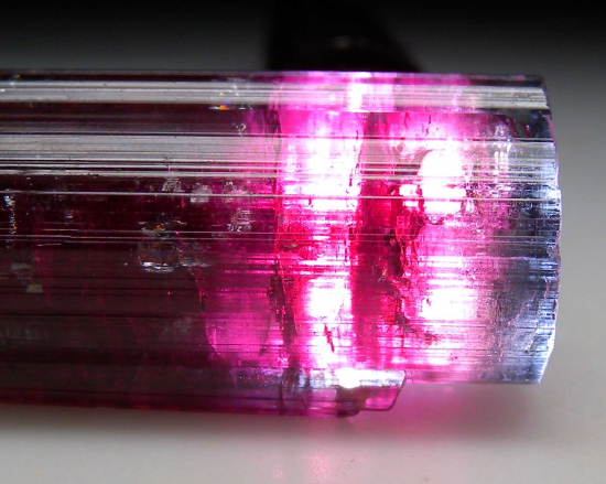 Tourmaline from Aricanga Mine, Sao Jose da Safira, Minas Gerais, Brazil [db_pics/pics/p281e.jpg]