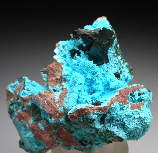 Malachite crystals on Chrysocolla from Mashamba West Mine, Lualaba, DR Congo [db_pics/pics/p282a.jpg]