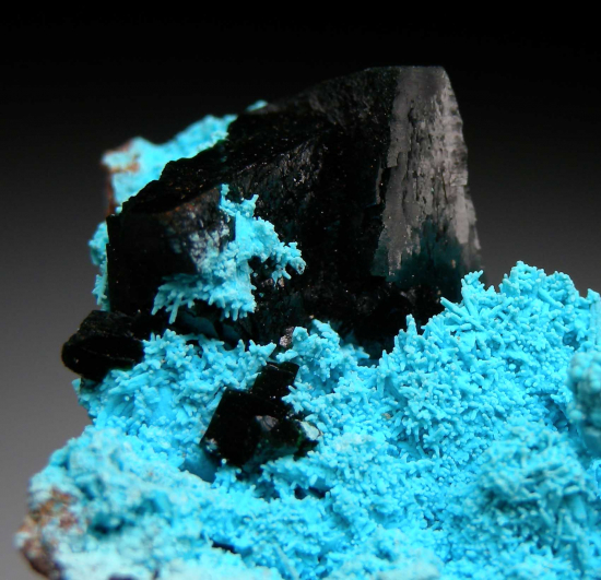 Malachite crystals on Chrysocolla from Mashamba West Mine, Lualaba, DR Congo [db_pics/pics/p282c.jpg]