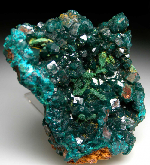 Dioptase with Malachite from Kapata Mine, Kolwezi, Lualaba, DR Congo [db_pics/pics/p283b.jpg]