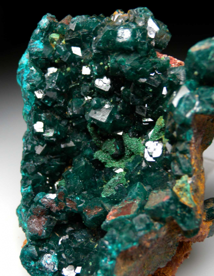 Dioptase with Malachite from Kapata Mine, Kolwezi, Lualaba, DR Congo [db_pics/pics/p283d.jpg]