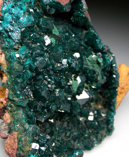 Dioptase with Malachite from Kapata Mine, Kolwezi, Lualaba, DR Congo [db_pics/pics/p285b.jpg]