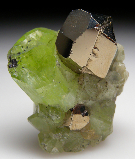Pyrite on Diopside from Merelani Hills, Arusha, Tanzania [db_pics/pics/p296a.jpg]