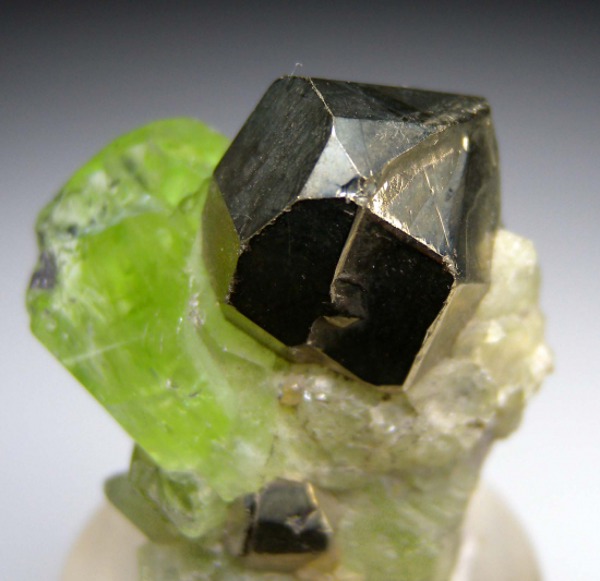Pyrite on Diopside from Merelani Hills, Arusha, Tanzania [db_pics/pics/p296b.jpg]