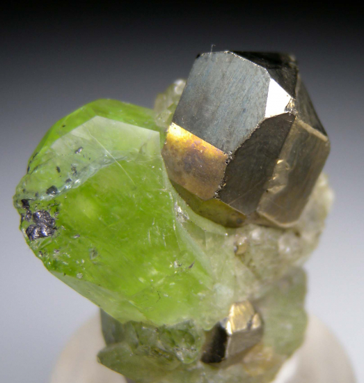 Pyrite on Diopside from Merelani Hills, Arusha, Tanzania [db_pics/pics/p296c.jpg]