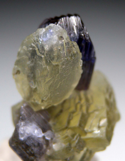Prehnite on Tanzanite from Merelani Hills, Arusha, Tanzania [db_pics/pics/p297e.jpg]