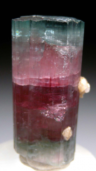 Tourmaline from Sapo Mine, Minas Gerais, Brazil [db_pics/pics/p306a.jpg]