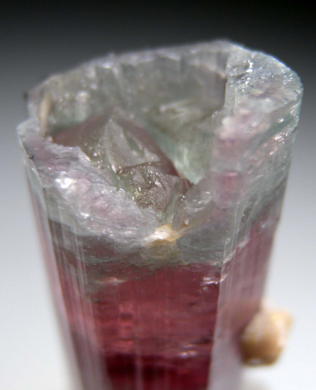 Tourmaline from Sapo Mine, Minas Gerais, Brazil [db_pics/pics/p306b.jpg]
