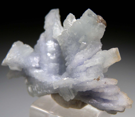 Prehnite after Tanzanite from Merelani Hills, Arusha, Tanzania [db_pics/pics/p308d.jpg]