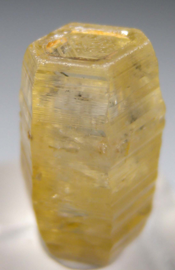 Sapphire from Ratnapura, Sri Lanka [db_pics/pics/p313c.jpg]