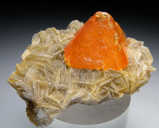 Scheelite on Muscovite from Mt Xuebaoding, Ping Wu, Sichuan Prov., China [db_pics/pics/p318a.jpg]