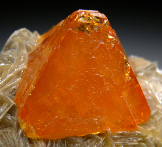 Scheelite on Muscovite from Mt Xuebaoding, Ping Wu, Sichuan Prov., China [db_pics/pics/p318c.jpg]