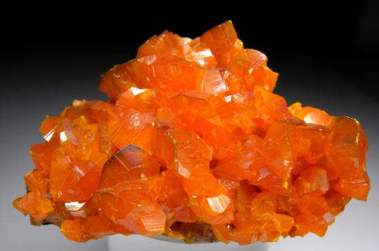 Orpiment from Twin Creeks Mine, Humboldt Co., Nevada, USA [db_pics/pics/p323a.jpg]