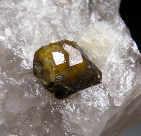 Microlite in Quartz from Amelia, Virginia, USA [db_pics/pics/p334c.jpg]