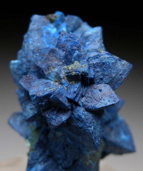 Shattuckite after Dioptase after Calcite from Tantara Mine, Katanga, DR Congo [db_pics/pics/p341c.jpg]
