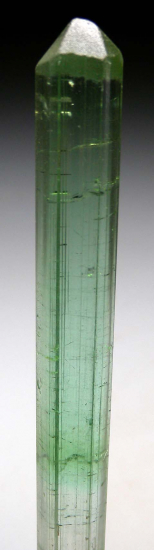 Tourmaline from Paprok, Nuristan, Afghanistan [db_pics/pics/p342a.jpg]