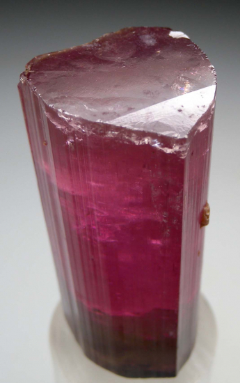 Tourmaline from Himalaya Mine, Mesa Grande, San Diego Co., California, USA [db_pics/pics/p345b.jpg]