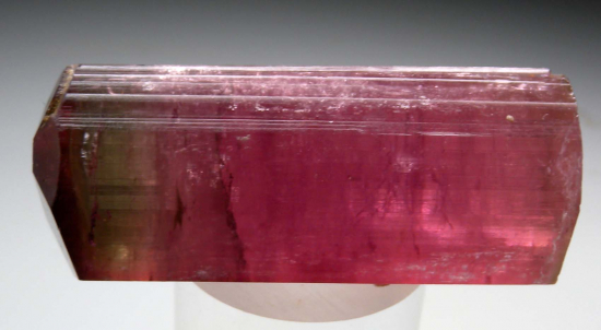 Tourmaline from Himalaya Mine, Mesa Grande, San Diego Co., California, USA [db_pics/pics/p345c.jpg]