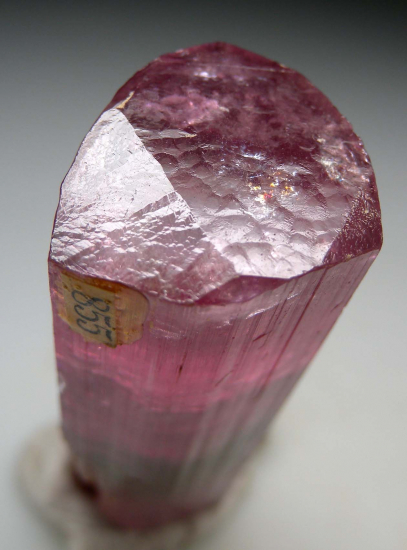 Tourmaline from Himalaya Mine, Mesa Grande, San Diego Co., California, USA [db_pics/pics/p346b.jpg]