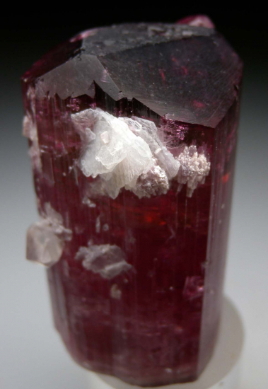 Tourmaline from Himalaya Mine, Mesa Grande, San Diego Co., California, USA [db_pics/pics/p347b.jpg]