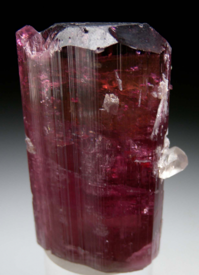 Tourmaline from Himalaya Mine, Mesa Grande, San Diego Co., California, USA [db_pics/pics/p347c.jpg]