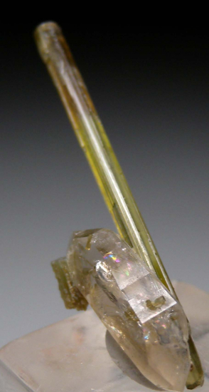 Tourmaline on Quartz from Himalaya Mine, Mesa Grande, San Diego Co., California, USA [db_pics/pics/p351b.jpg]