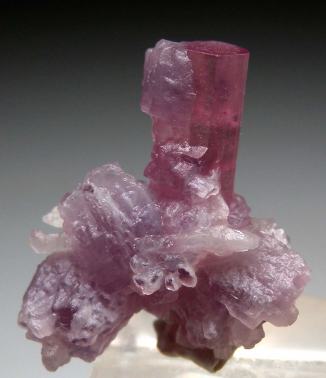 Tourmaline with Lepidolite from Himalaya Mine, Mesa Grande, San Diego Co., California, USA [db_pics/pics/p357a.jpg]