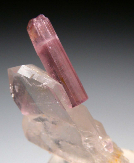 Tourmaline on Quartz from Himalaya Mine, Mesa Grande, San Diego Co., California, USA [db_pics/pics/p358b.jpg]