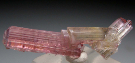 Tourmaline from Himalaya Mine, Mesa Grande, San Diego Co., California, USA [db_pics/pics/p361c.jpg]
