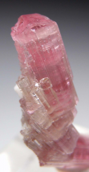 Tourmaline from Himalaya Mine, Mesa Grande, San Diego Co., California, USA [db_pics/pics/p363c.jpg]