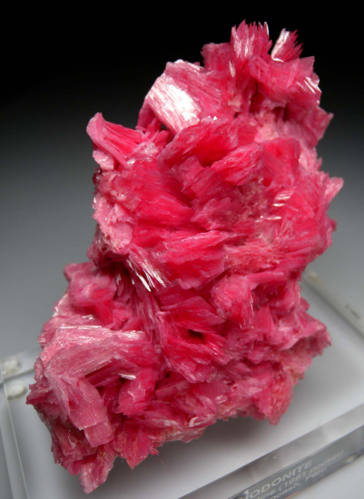 Rhodonite from San Martin Mine, Chiuruco, Ancash Dept., Peru [db_pics/pics/p383c.jpg]