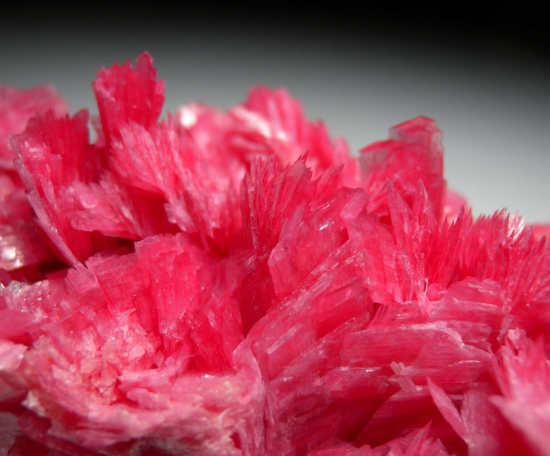 Rhodonite from San Martin Mine, Chiuruco, Ancash Dept., Peru [db_pics/pics/p383d.jpg]