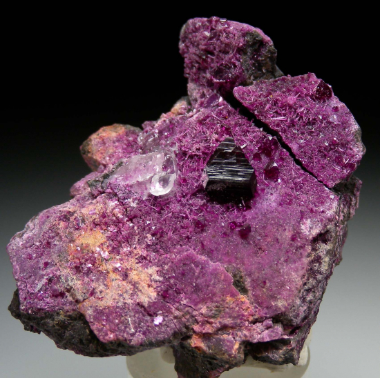 Kammererite from Kop Krom Mine, Kop Daglari, East Anatolia, Turkey [db_pics/pics/p386a.jpg]